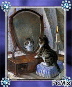 La beauté de chat - Ingyenes animált GIF