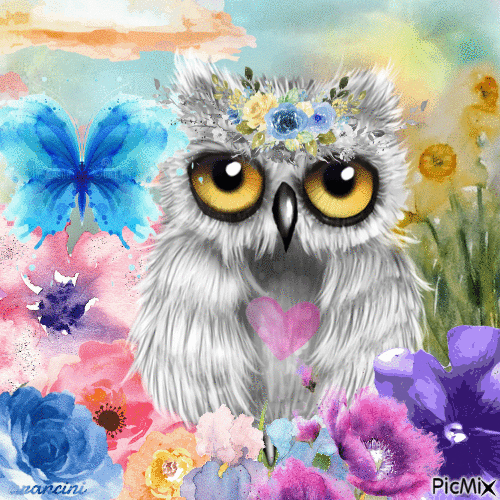 Owl - Gratis animerad GIF