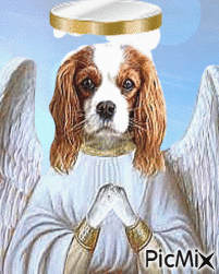 Dog angel - Безплатен анимиран GIF