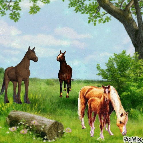 horses - Free animated GIF - PicMix
