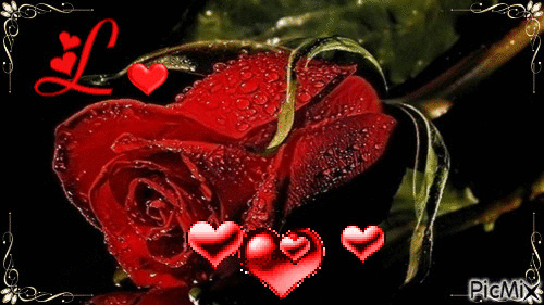 rose love - GIF animé gratuit