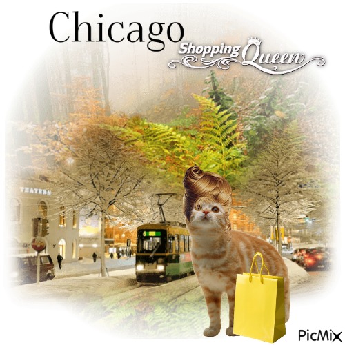 Chicago Shopping Queen - PNG gratuit