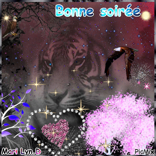 BONNE SOIREE - Бесплатный анимированный гифка