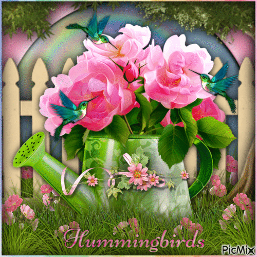 Hummingbirds-RM-01-19-24 - Δωρεάν κινούμενο GIF