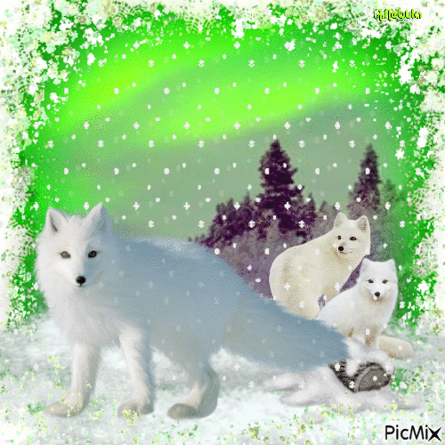 Winter in green and white - Бесплатный анимированный гифка