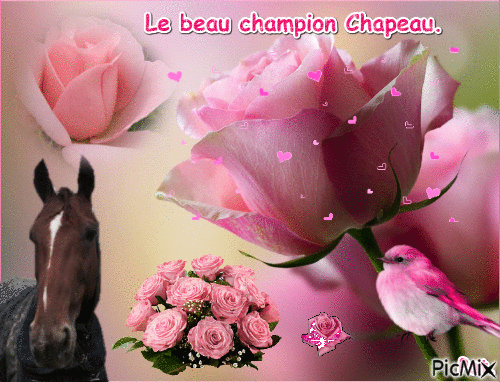 Le champion Chapeau. - 免费动画 GIF
