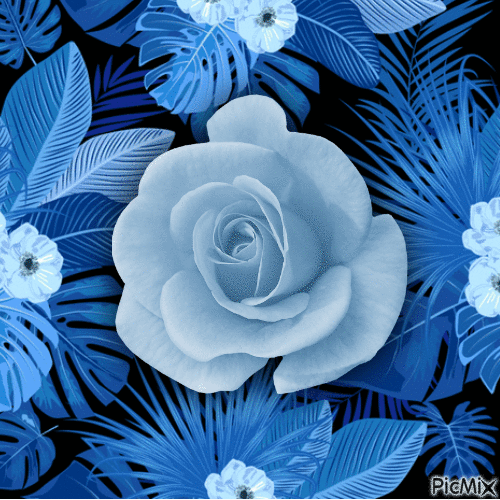 Blue Rose - 免费动画 GIF