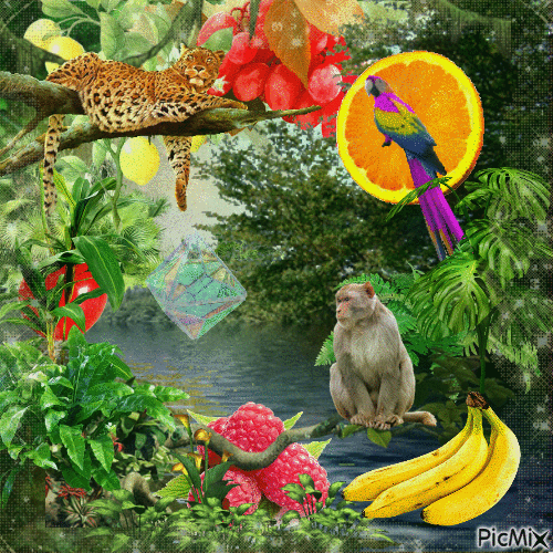 monkey fruit heaven V - GIF animé gratuit