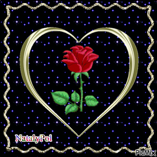Прекрасная роза - Zdarma animovaný GIF