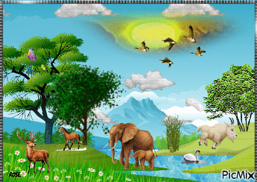 Natureza plena - GIF animate gratis