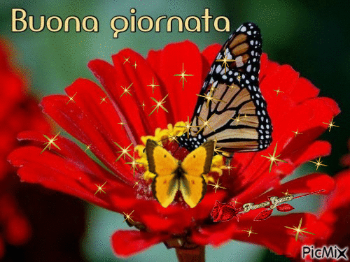 Buona Giornata - Δωρεάν κινούμενο GIF
