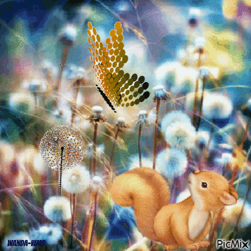 Squirrel-butterflies-flowers - Darmowy animowany GIF