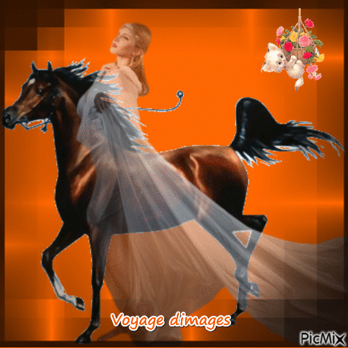 la dame au cheval - 無料のアニメーション GIF