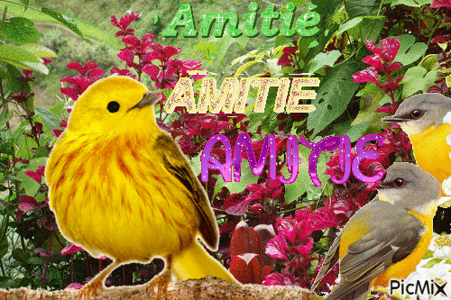 Amitié - Gratis animeret GIF