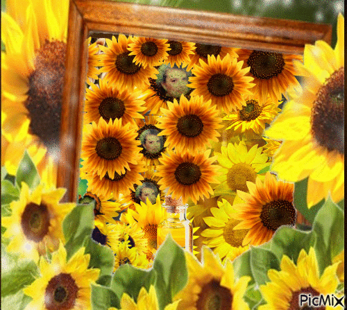 sunflower - GIF animé gratuit
