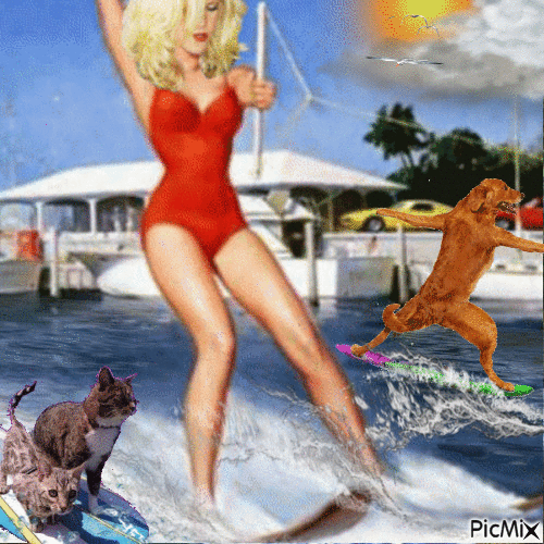 SURF - Gratis animerad GIF