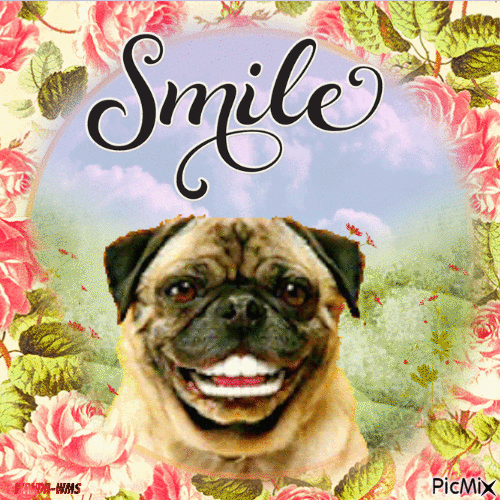 Smile-dogs-flowers - GIF animado gratis