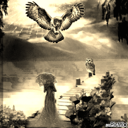 Fantasy owl - GIF animado gratis