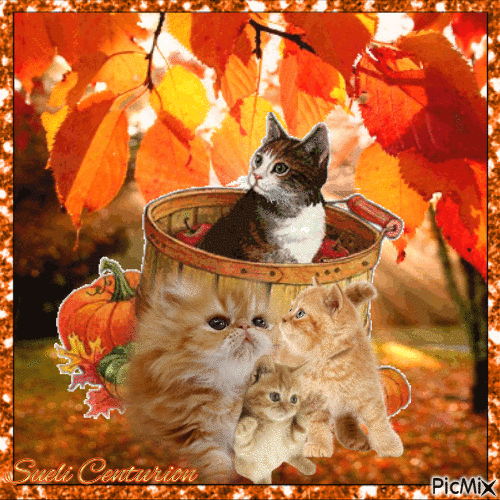 Retrato felino de outono - Gratis animerad GIF