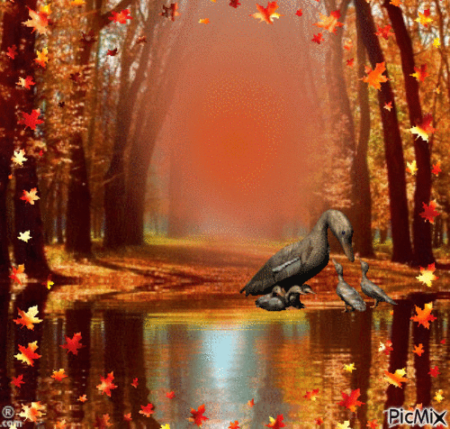 Осень - 無料のアニメーション GIF