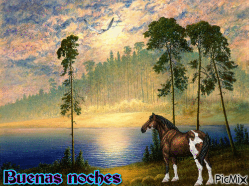 BUENAS  NOCHES - 無料のアニメーション GIF