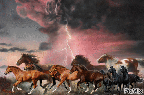 Horses & rain. - Бесплатни анимирани ГИФ