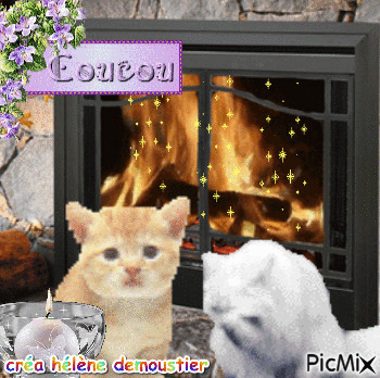 cheminée / chats - 無料のアニメーション GIF