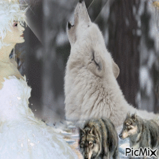 wolves - Nemokamas animacinis gif