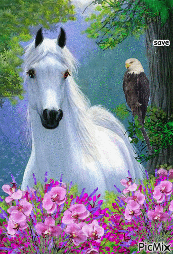 white horse - Besplatni animirani GIF