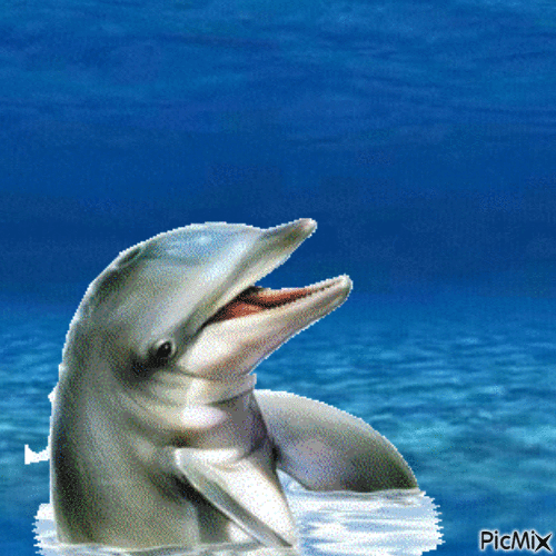 Flipper - Ilmainen animoitu GIF
