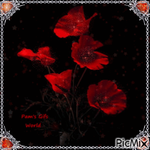 Poppies - Безплатен анимиран GIF