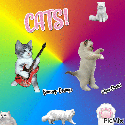 Gif de Gatos! - GIF animé gratuit