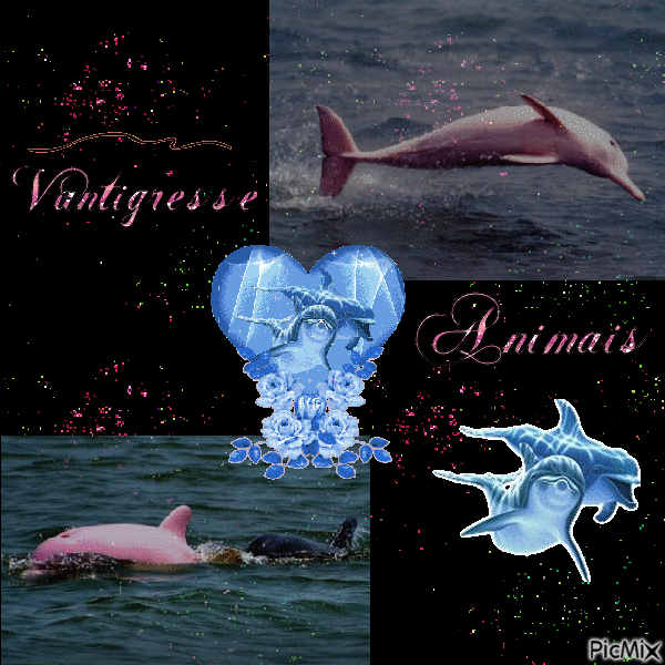recompense vantigresse dauphins roses - Free animated GIF
