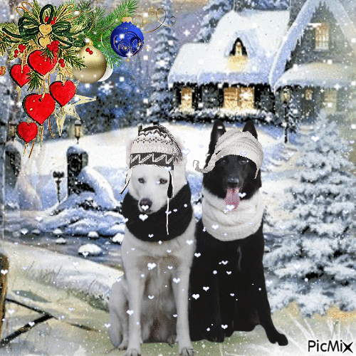 Cani in Inverno con berretti di Lana - Nemokamas animacinis gif