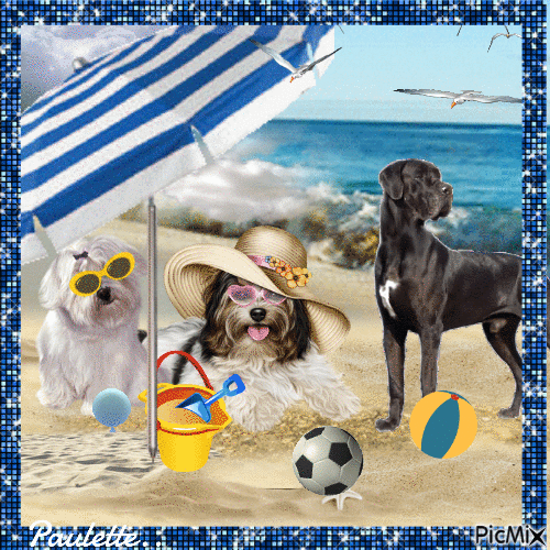 chiens a la plage - GIF animado gratis