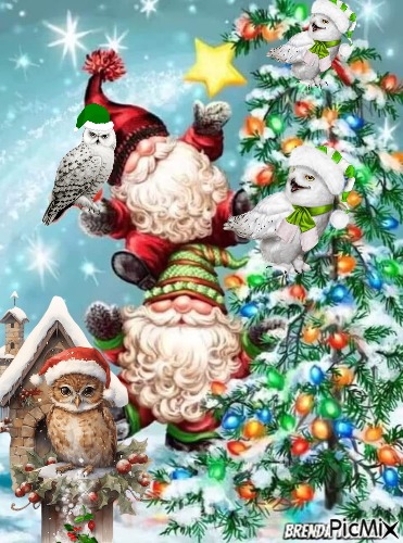 Christmas owl - 免费PNG