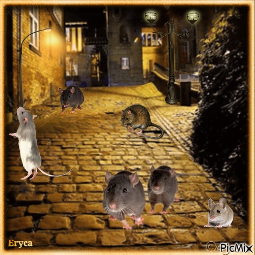 Les rats - фрее пнг