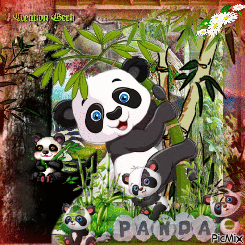 A little panda - Animovaný GIF zadarmo