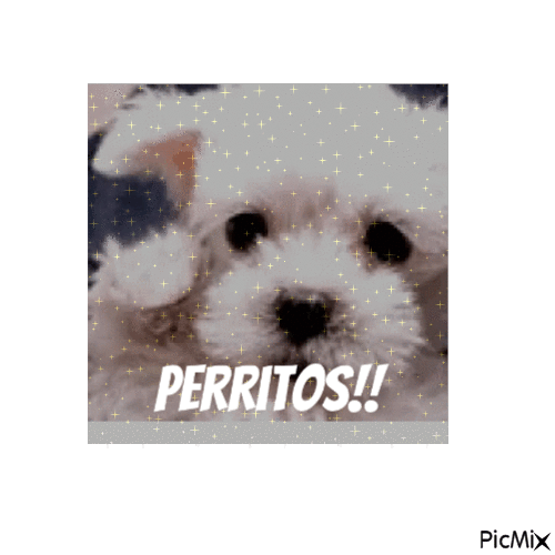 Perritos!! - Бесплатный анимированный гифка