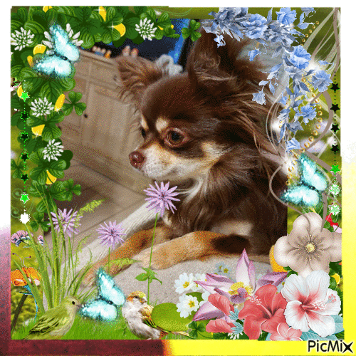 chien et fleurs - 免费动画 GIF