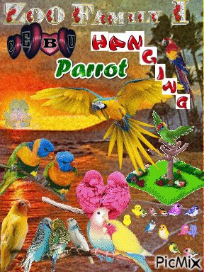 Cebu Hanging Parrot - Free animated GIF