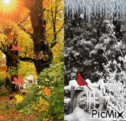 Autumn & Winter! - GIF animé gratuit