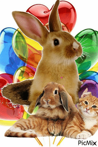Cumpleaños de conejos - GIF animado grátis