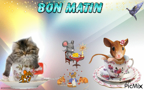 bn matin - Ücretsiz animasyonlu GIF
