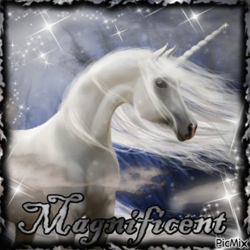 Magnificent - Free animated GIF
