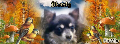 Blondy - kostenlos png
