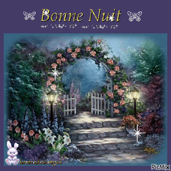 bonne nuit - Nemokamas animacinis gif