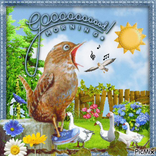 Good morning, bird - Ingyenes animált GIF