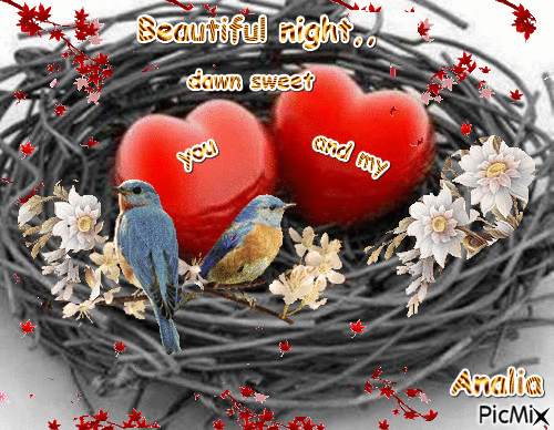 Beautiful night,,, dawn sweet - GIF animate gratis