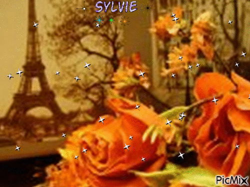 Paris en fleur ma création a partager sylvie - Бесплатный анимированный гифка